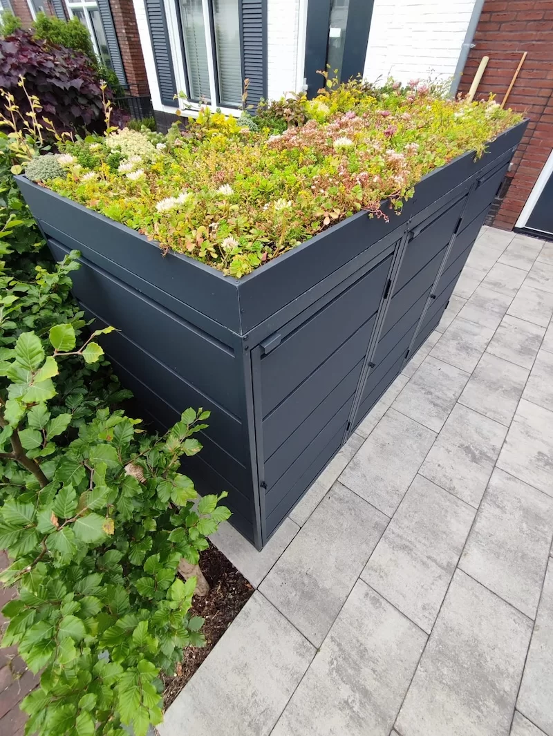 Green Plant Grey Ombouw Antracietgrijs metaal | 4 Containers - Afbeelding 8