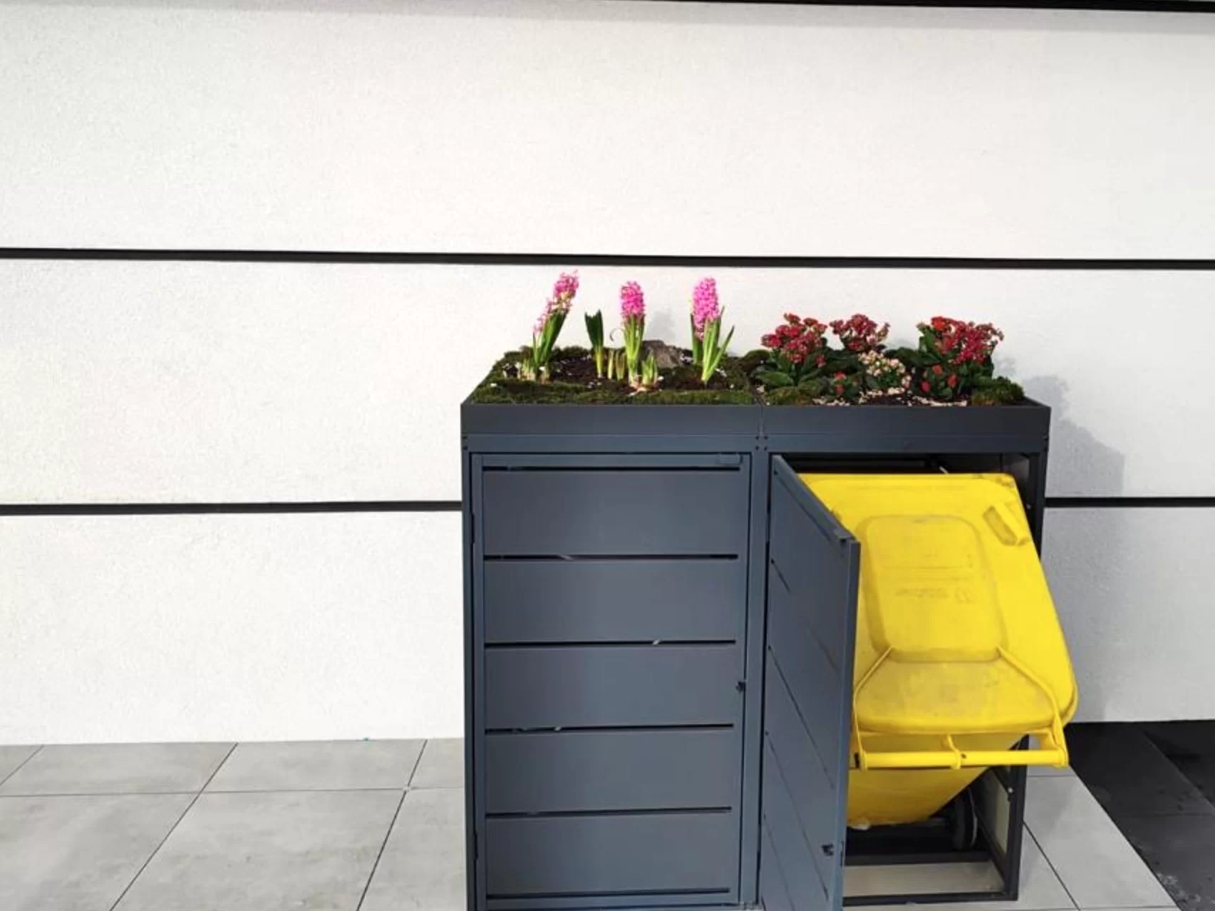 Green Plant Grey Ombouw Antracietgrijs metaal | 4 Containers - Afbeelding 5