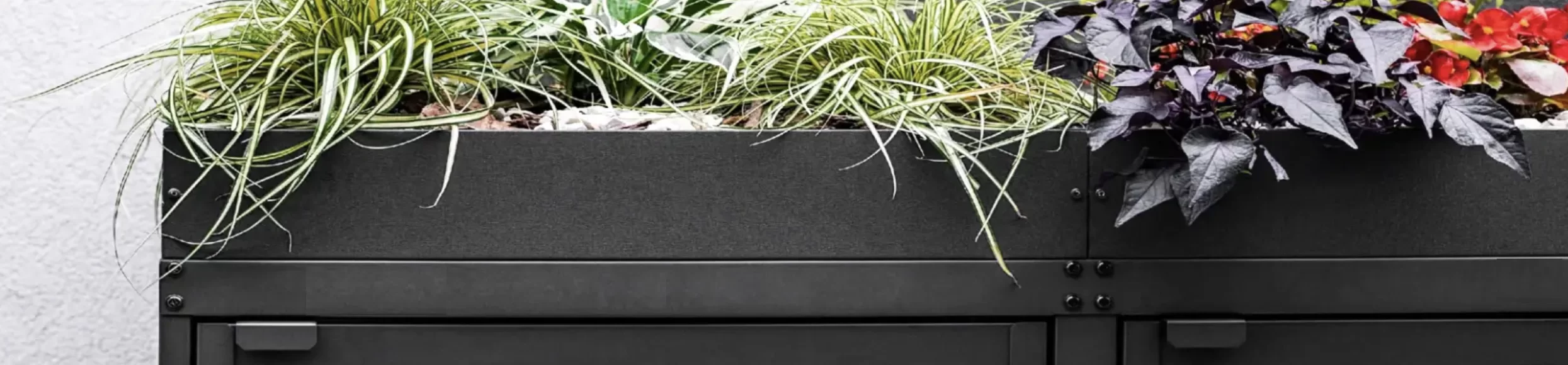 Green Plant Grey Ombouw Antracietgrijs metaal | 4 Containers - Afbeelding 6